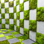 現代の暮らしに融合する新しい苔庭